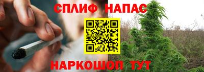 каннабис Кингисепп