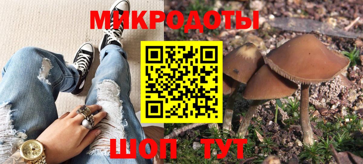 Псилоцибиновые грибы GOLDEN TEACHER Корсаков