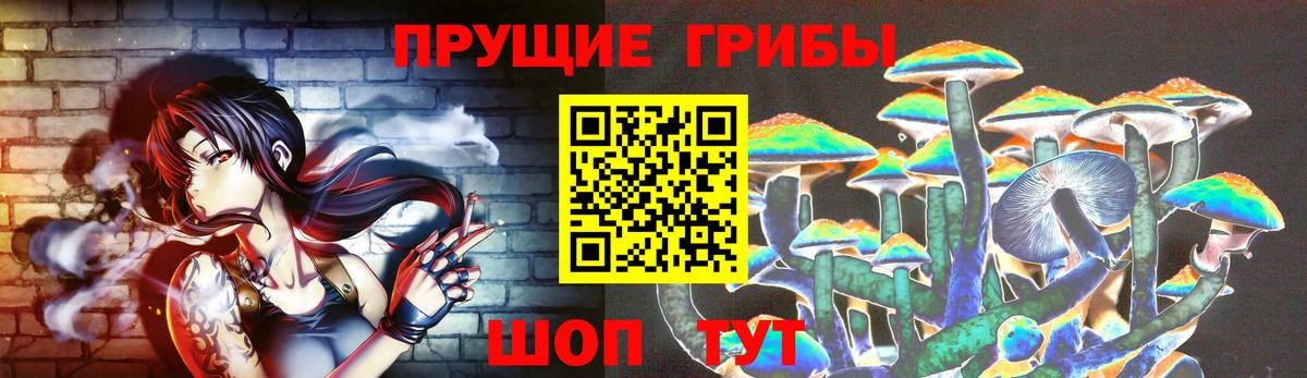 Галлюциногенные грибы Psilocybine cubensis  Галлюциногенные грибы прущие грибы  Корсаков  Вход с VPN 